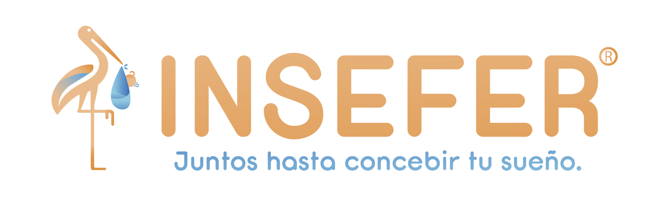 INSEFER — Juntos hasta concebir tu sueño