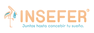 Insefer