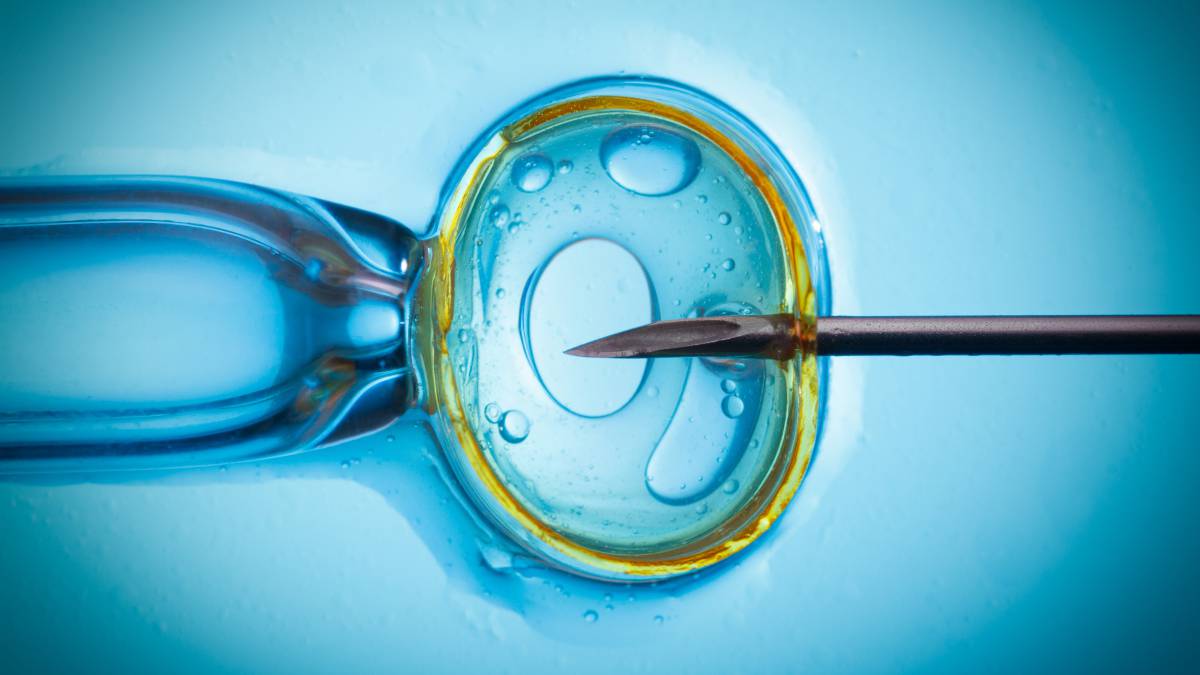 Donación De óvulos Y Espermatozoides Clínica De Fertilidad 5650